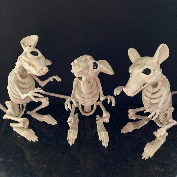Grandin Road Set of 3 Skeleton Rats for Halloween/Posable Tails/Hinged Jaws/EUC! - Picture 1 of 2